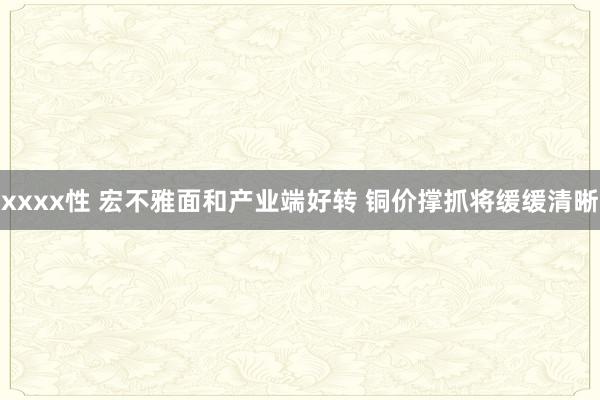 xxxx性 宏不雅面和产业端好转 铜价撑抓将缓缓清晰