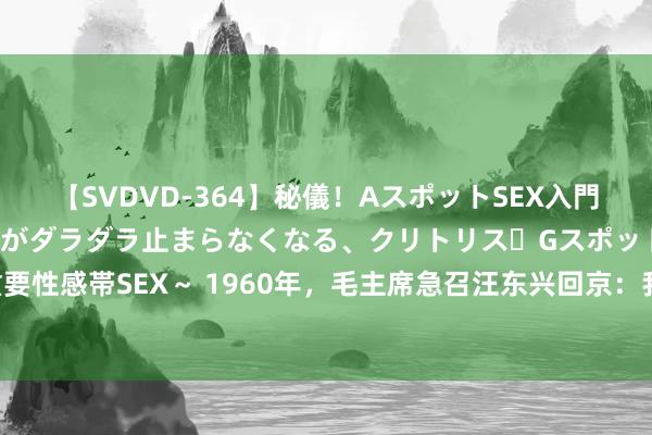 【SVDVD-364】秘儀！AスポットSEX入門 ～刺激した瞬間から愛液がダラダラ止まらなくなる、クリトリス・Gスポットに続く重要性感帯SEX～ 1960年，毛主席急召汪东兴回京：我身边的东谈主有问题，帮我握老鼠