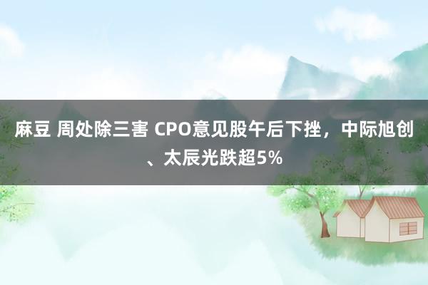麻豆 周处除三害 CPO意见股午后下挫，中际旭创、太辰光跌超5%