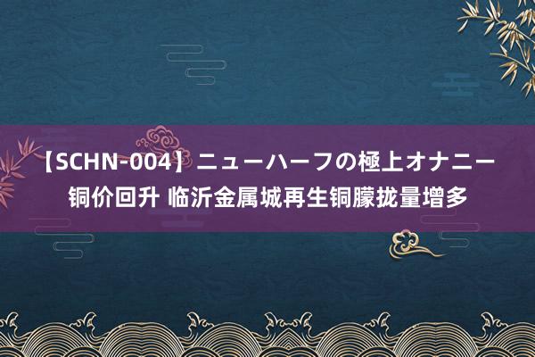 【SCHN-004】ニューハーフの極上オナニー 铜价回升 临沂金属城再生铜朦拢量增多