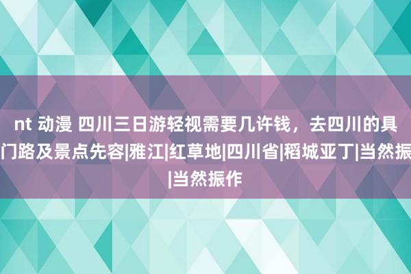 nt 动漫 四川三日游轻视需要几许钱，去四川的具体门路及景点先容|雅江|红草地|四川省|稻城亚丁|当然振作