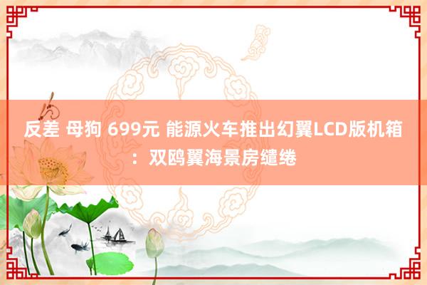 反差 母狗 699元 能源火车推出幻翼LCD版机箱：双鸥翼海景房缱绻