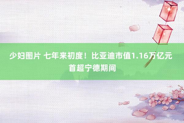 少妇图片 七年来初度！比亚迪市值1.16万亿元 首超宁德期间