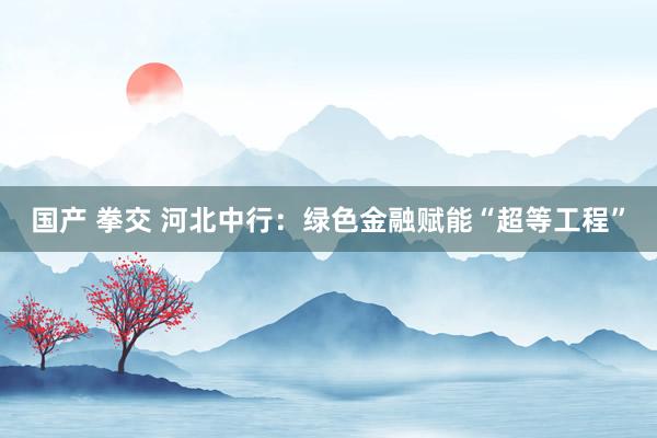 国产 拳交 河北中行：绿色金融赋能“超等工程”