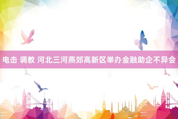 电击 调教 河北三河燕郊高新区举办金融助企不异会