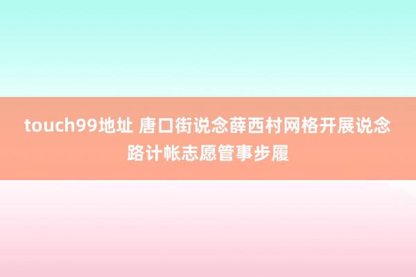 touch99地址 唐口街说念薛西村网格开展说念路计帐志愿管事步履