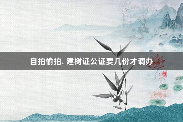 自拍偷拍. 建树证公证要几份才调办