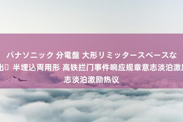 パナソニック 分電盤 大形リミッタースペースなし 露出・半埋込両用形 高铁拦门事件响应规章意志淡泊激励热议