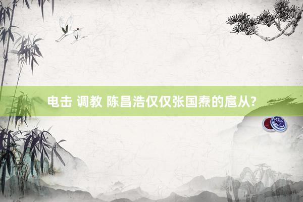 电击 调教 陈昌浩仅仅张国焘的扈从?