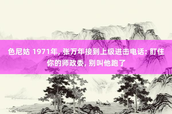 色尼姑 1971年, 张万年接到上级进击电话: 盯住你的师政委, 别叫他跑了