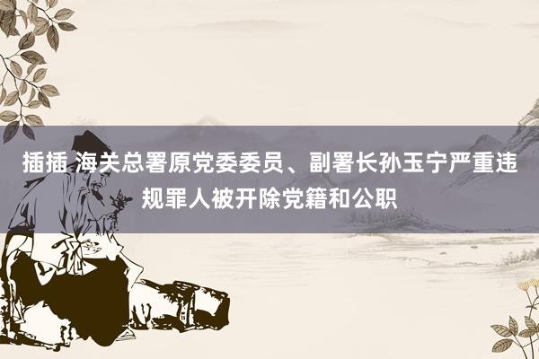 插插 海关总署原党委委员、副署长孙玉宁严重违规罪人被开除党籍和公职