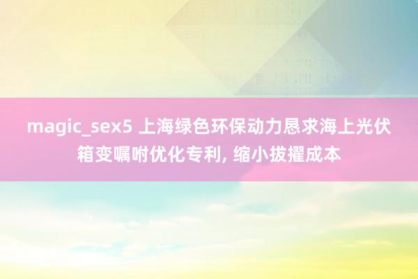magic_sex5 上海绿色环保动力恳求海上光伏箱变嘱咐优化专利, 缩小拔擢成本