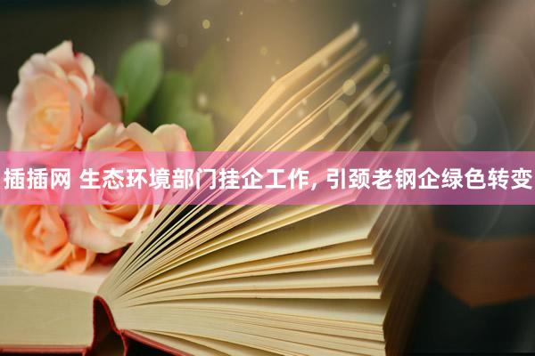 插插网 生态环境部门挂企工作, 引颈老钢企绿色转变