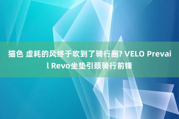 猫色 虚耗的风终于吹到了骑行圈? VELO Prevail Revo坐垫引颈骑行前锋