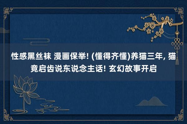 性感黑丝袜 漫画保举! (懂得齐懂)养猫三年, 猫竟启齿说东说念主话! 玄幻故事开启