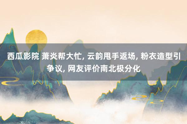 西瓜影院 萧炎帮大忙, 云韵甩手返场, 粉衣造型引争议, 网友评价南北极分化