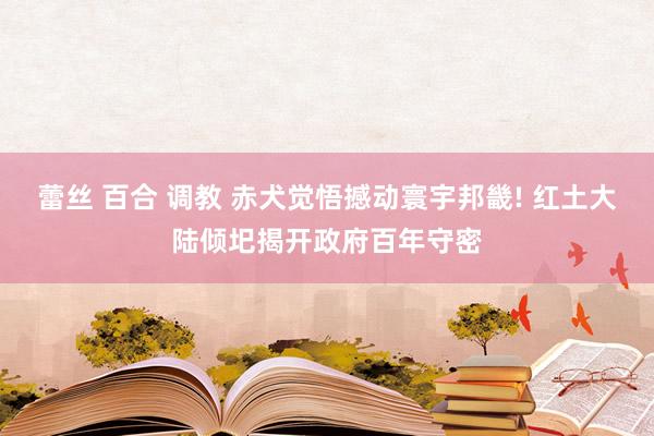 蕾丝 百合 调教 赤犬觉悟撼动寰宇邦畿! 红土大陆倾圯揭开政府百年守密