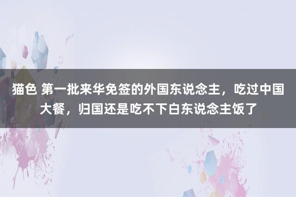 猫色 第一批来华免签的外国东说念主，吃过中国大餐，归国还是吃不下白东说念主饭了