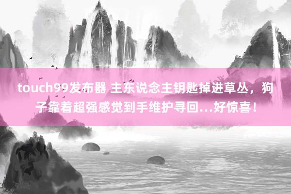 touch99发布器 主东说念主钥匙掉进草丛，狗子靠着超强感觉到手维护寻回…好惊喜！