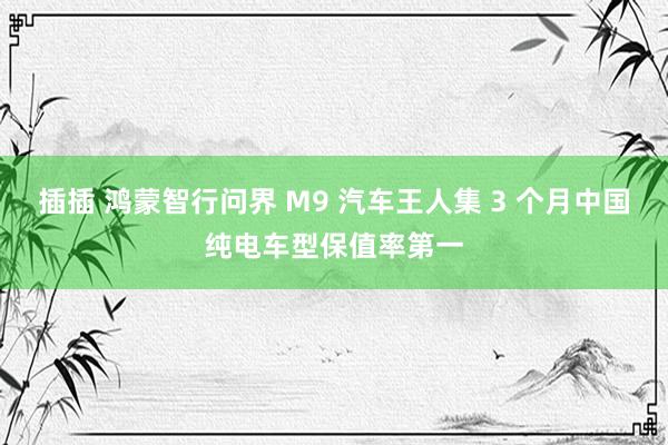 插插 鸿蒙智行问界 M9 汽车王人集 3 个月中国纯电车型保值率第一